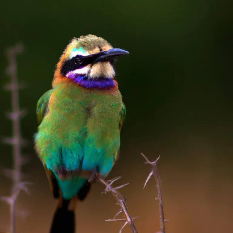 6 Vogels Die Opvallen In De Stad – Een Kleurrijke Verassing!