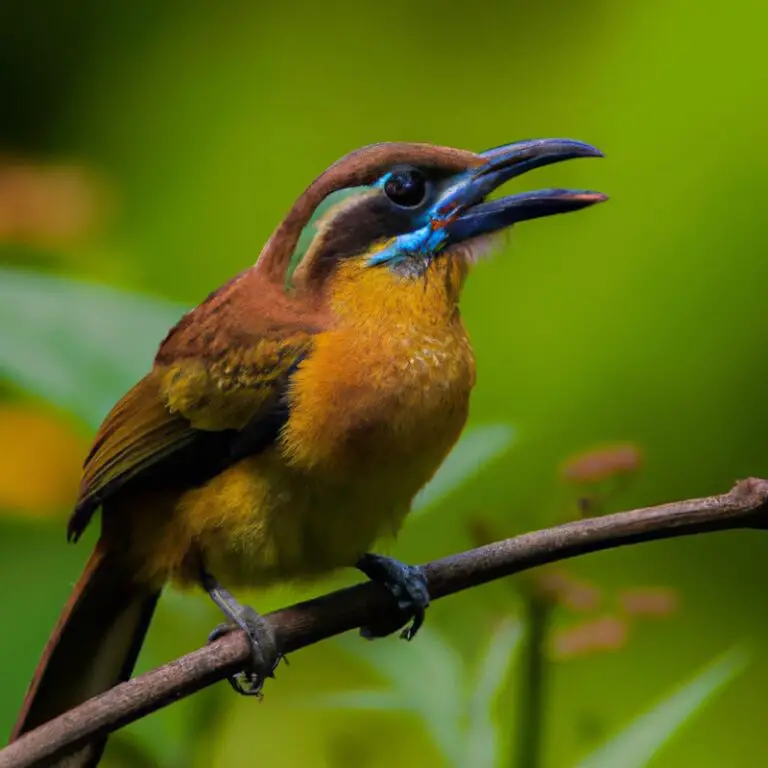 15 Vogels Die Je In Je Tuin Kunt Vinden – Een must voor natuurliefhebbers!