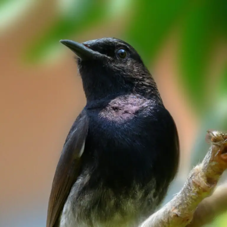 Wat Zijn Enkele Unieke Nestbouwmaterialen van Vogels?