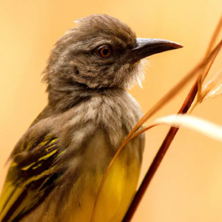 5 Vogels Die Op Schadelijke Insecten Jagen – Verbazingwekkend!