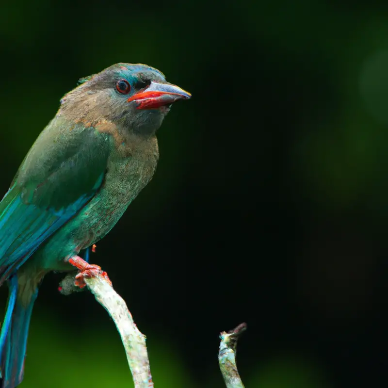kleurrijke vogels rietveld