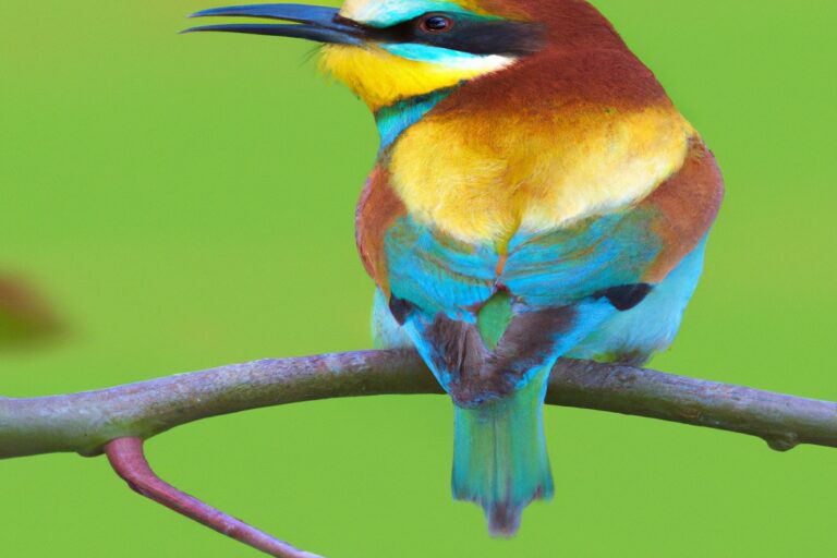 15 Vogels Die Genieten van Moerassige Habitats