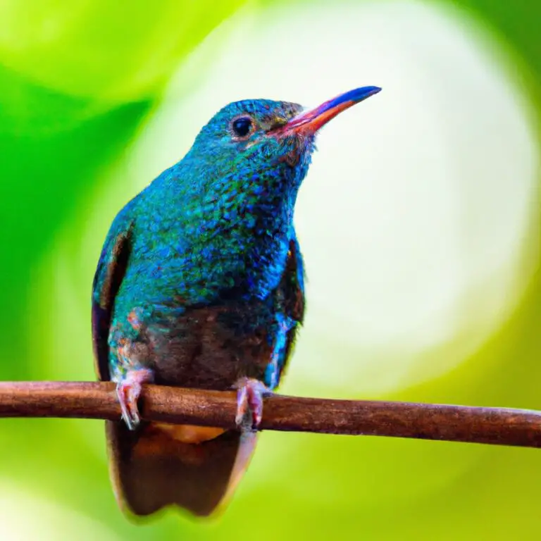 12 Vogels Die Gespecialiseerd Zijn In Zaden – Ontdek Hun Unieke Eigenschappen!
