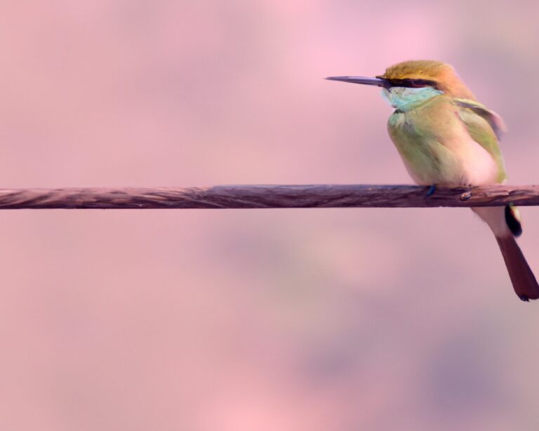 Welke vogelsoorten eten graag nectar?